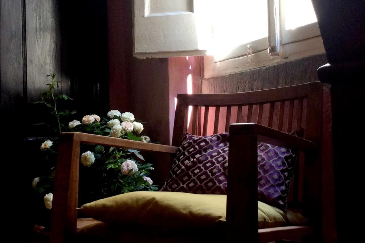 Lo Studio B&B ปิสโตยา ภายนอก รูปภาพ